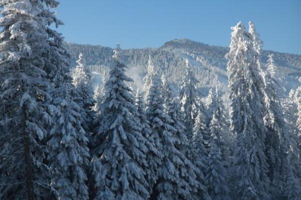 Aparthotel Borovets Gardens Exterior foto
