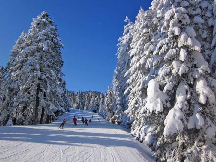 Aparthotel Borovets Gardens Exterior foto